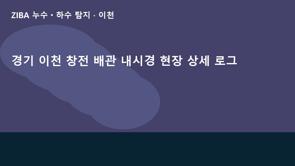 경기 이천 창전 배관 내시경 현장 상세 로그